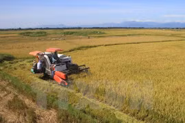 Over 5 million tonnes of rice exported in ten months
