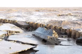 Bac Lieu approves measures to fix eroded sea dykes