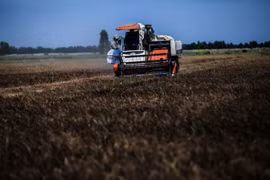 Mekong Delta prepares for tougher drought