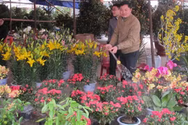 Japanese floriculture firm to invest in Lam Dong 