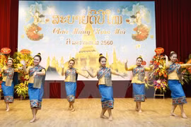 Winners of songwriting contest on Vietnam-Laos relations announced