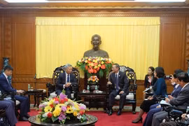 AIIB wants to help Da Nang develop infrastructure