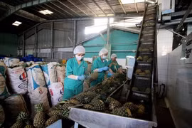 EU-Vietnam pact eagerly awaited
