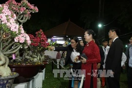 Spring flower festival opens in HCM City to welcome New Year