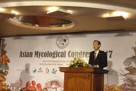 Expert: Vietnam needs more fungi researches