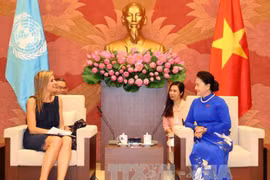 NA Chairwoman hails Vietnam-Netherlands ties as typical, effective 