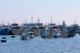 Khanh Hoa province supports offshore fishing activities