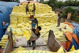 Imported DAP fetiliser products under investigation