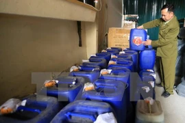 Action month on food safety launched nationwide
