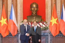 Vietnam, Czech Republic agree to foster ties across fields 