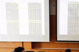 VN stocks up again on blue chips