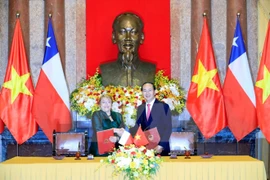 Vietnam, Chile seek stronger comprehensive partnership