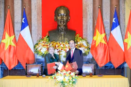 Vietnam, Chile seek stronger comprehensive partnership