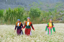 Ha Giang province awaits tourism boom