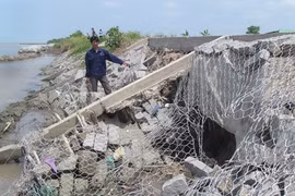 Ca Mau mobilises capital for sea embankment construction