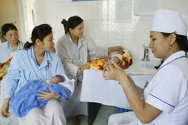 Vietnam appreciates WHO’s role in building health care policies 