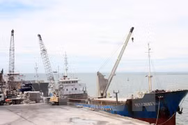 Thanh Hoa calls for investment in 50 big projects