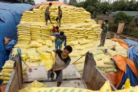 Temporary safeguard measure on DAP, MAP fertilisers launched