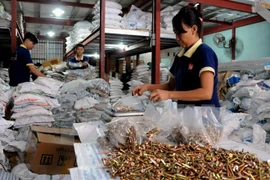 Two waves of European investment to hit Vietnam 