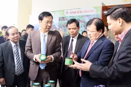 Quang Ninh leads in “One Commune One Product” programme