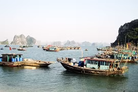 Quang Ninh province loses marine resources