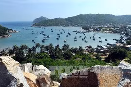 HCM City event highlights online tourism potential