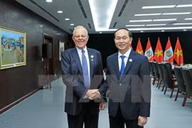 APEC 2017: Vietnam wants to expand cooperation with Peru 