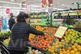 Franchise of Vietnamese brands just in initial stage: insiders
