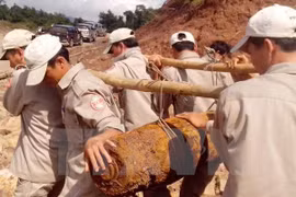 Peace Trees Vietnam hailed for healing war wounds 