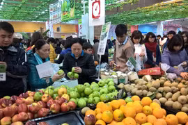 2016 economic stability bodes well for 2017: report