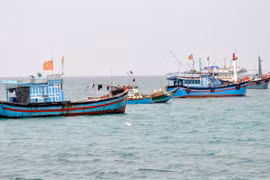 Up to 1.87 billion USD projected for offshore fishing development