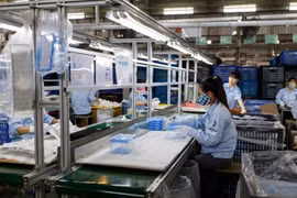 Over 3,200 new firms established in Central Highlands