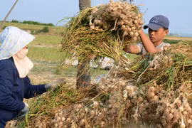 Local agricultural products need more support