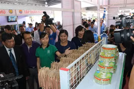 CLV Development Triangle Area promotes trade, tourism