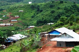 Unplanned migration from northwest to Central Highlands restricted