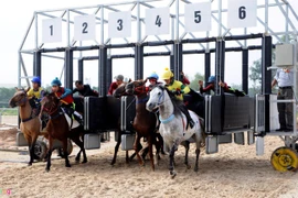 Hong Kong investor proposes racecourse in Can Tho
