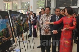Vietnam attends international cultural week in Mexico