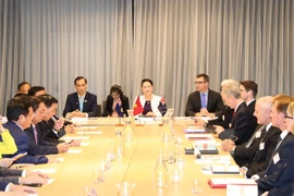 Top lawmaker: Vietnam opens door for Australian firms 