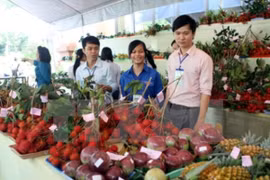 Vegetable, fruit exports hoped to hit record high 