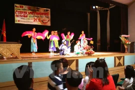 Festival honours Vietnamese, Czech cultures
