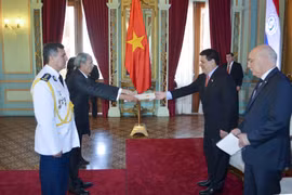 Vietnam, Paraguay agree to foster bilateral relations