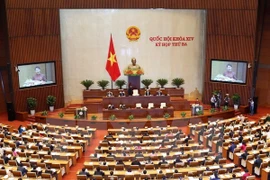 Lawmakers discuss bills on public debt, foreign trade management