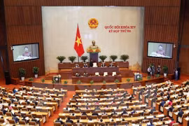 Lawmakers discuss bills on public debt, foreign trade management