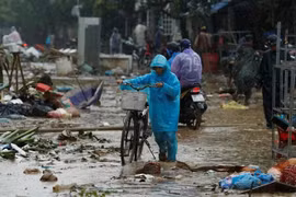 UN helps Vietnam surmount typhoon Damrey consequences 
