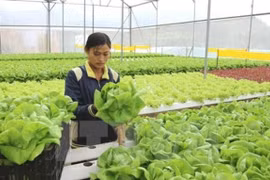 Conferences to encourage farmers’ entrepreneurship