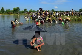 Over 7,000 granted national verification cards in Rakhine state