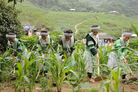 Thai Nguyen: Over 5.1 trln VND for sustainable poverty reduction