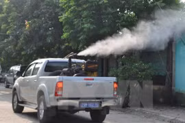 Dengue fever increases in April
