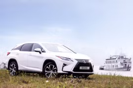 Toyota Vietnam recalls 360 Lexus cars
