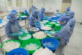 Vietnam vows to combat IUU fishing